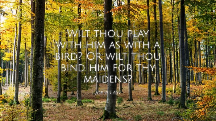Picture 05 - Job 41:5 ASV Desktop Wallpaper - Wilt thou play with him as with a bird? Or wilt - Desktop Bible Verse Wallpaper