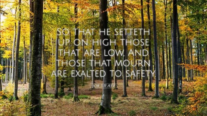 Picture 05 - Job 5:11 ASV Desktop Wallpaper - So that he setteth up on high those that are low, - Desktop Bible Verse Wallpaper