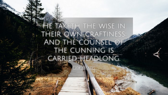 Picture 05 - Job 5:13 ASV Desktop Wallpaper - He taketh the wise in their own craftiness; And - Desktop Bible Verse Wallpaper