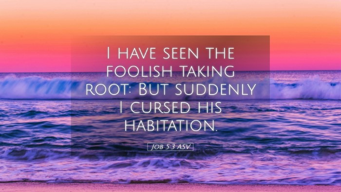 Picture 05 - Job 5:3 ASV Desktop Wallpaper - I have seen the foolish taking root: But suddenly - Desktop Bible Verse Wallpaper
