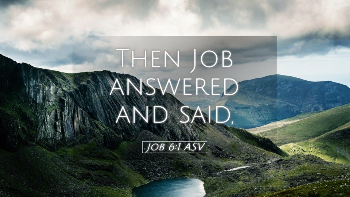 Picture 05 - Job 6:1 ASV Desktop Wallpaper - Then Job answered and - Desktop Bible Verse Wallpaper