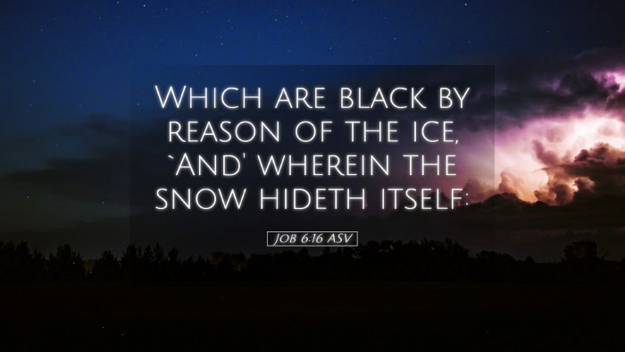 Picture 05 - Job 6:16 ASV Desktop Wallpaper - Which are black by reason of the ice, `And' - Desktop Bible Verse Wallpaper