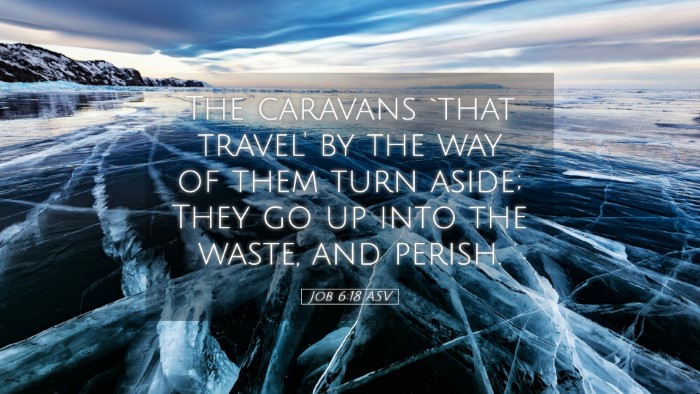Picture 05 - Job 6:18 ASV Desktop Wallpaper - The caravans `that travel' by the way of them - Desktop Bible Verse Wallpaper