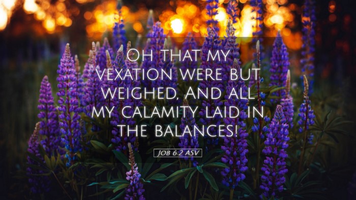 Picture 05 - Job 6:2 ASV Desktop Wallpaper - Oh that my vexation were but weighed, And all my - Desktop Bible Verse Wallpaper