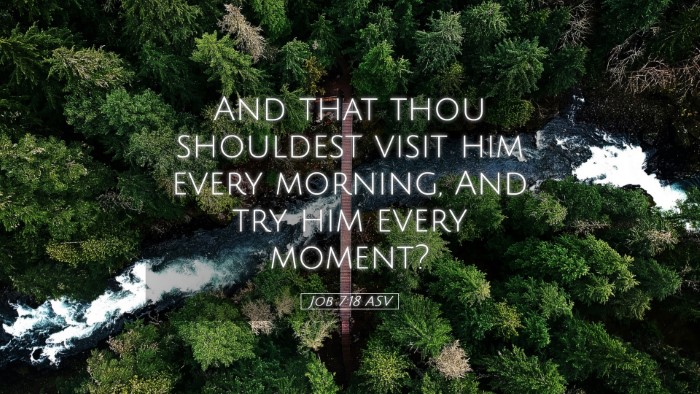 Picture 05 - Job 7:18 ASV Desktop Wallpaper - And that thou shouldest visit him every morning, - Desktop Bible Verse Wallpaper