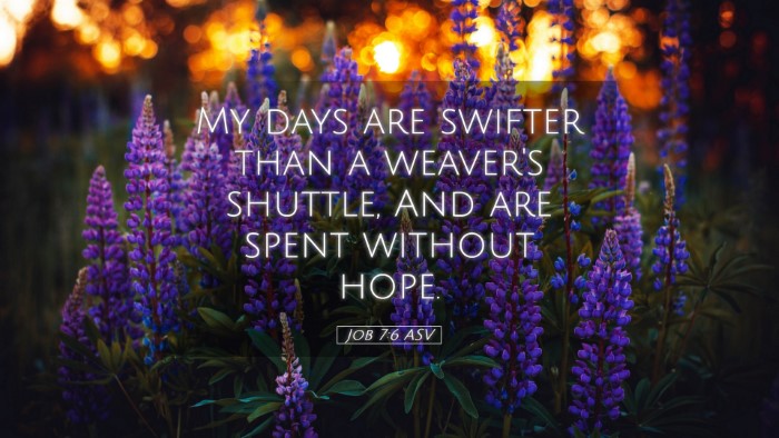Picture 05 - Job 7:6 ASV Desktop Wallpaper - My days are swifter than a weaver's shuttle, And - Desktop Bible Verse Wallpaper