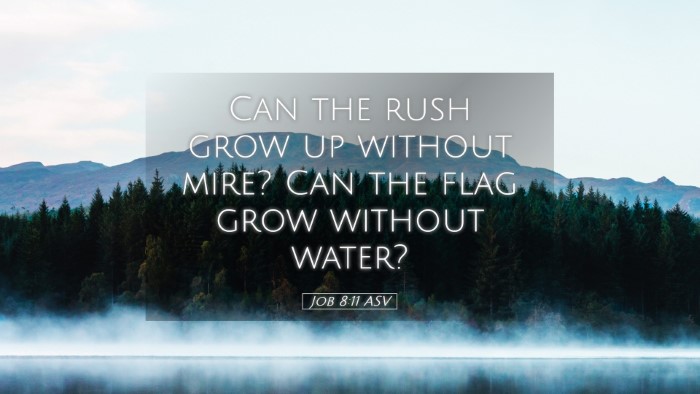 Picture 05 - Job 8:11 ASV Desktop Wallpaper - Can the rush grow up without mire? Can the flag - Desktop Bible Verse Wallpaper