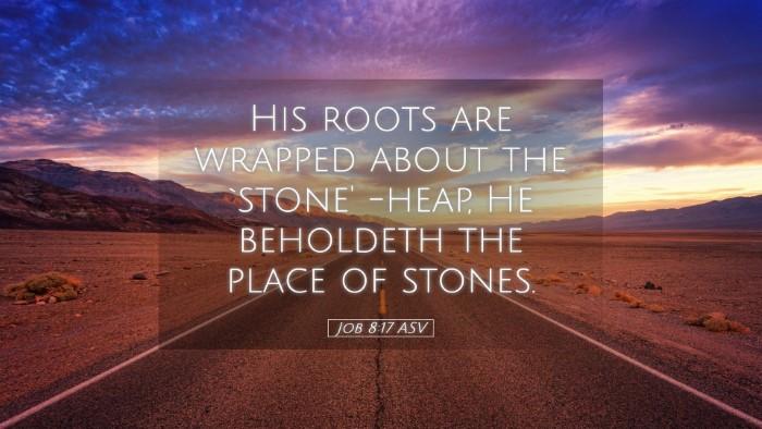 Picture 05 - Job 8:17 ASV Desktop Wallpaper - His roots are wrapped about the `stone' -heap, He - Desktop Bible Verse Wallpaper