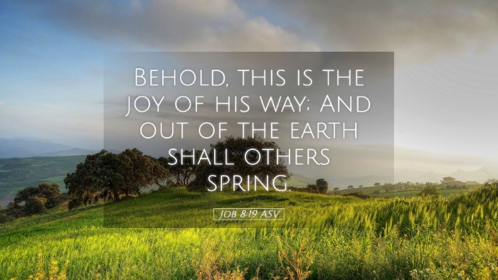 Picture 05 - Job 8:19 ASV Desktop Wallpaper - Behold, this is the joy of his way; And out of - Desktop Bible Verse Wallpaper