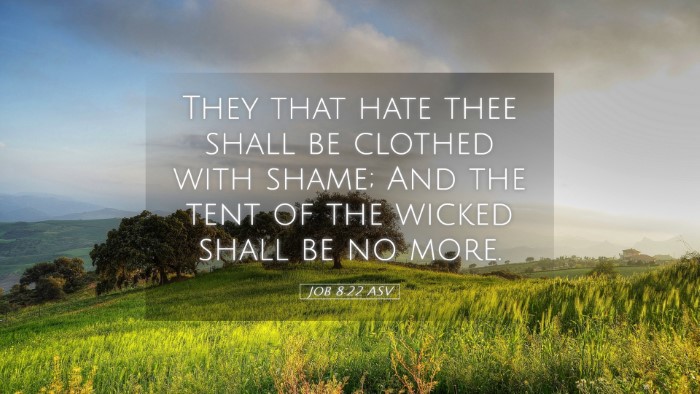 Picture 05 - Job 8:22 ASV Desktop Wallpaper - They that hate thee shall be clothed with shame; - Desktop Bible Verse Wallpaper