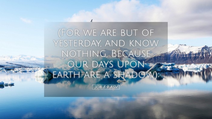 Picture 05 - Job 8:9 ASV Desktop Wallpaper - (For we are but of yesterday, and know nothing, - Desktop Bible Verse Wallpaper