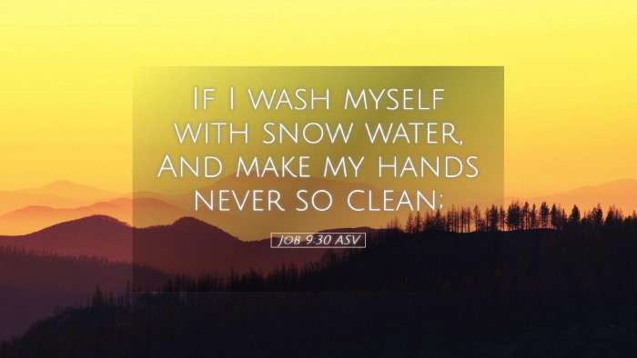 Picture 05 - Job 9:30 ASV Desktop Wallpaper - If I wash myself with snow water, And make my - Desktop Bible Verse Wallpaper