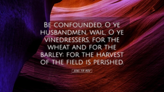 Picture 05 - Joel 1:11 ASV Desktop Wallpaper - Be confounded, O ye husbandmen, wail, O ye - Desktop Bible Verse Wallpaper