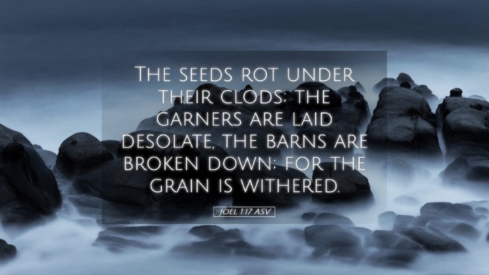 Picture 05 - Joel 1:17 ASV Desktop Wallpaper - The seeds rot under their clods; the garners are - Desktop Bible Verse Wallpaper