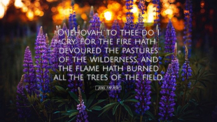 Picture 05 - Joel 1:19 ASV Desktop Wallpaper - O Jehovah, to thee do I cry; for the fire hath - Desktop Bible Verse Wallpaper