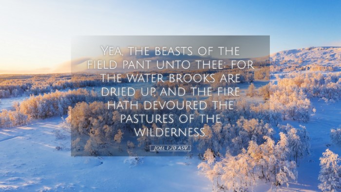 Picture 05 - Joel 1:20 ASV Desktop Wallpaper - Yea, the beasts of the field pant unto thee; for - Desktop Bible Verse Wallpaper