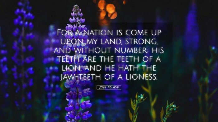 Picture 05 - Joel 1:6 ASV Desktop Wallpaper - For a nation is come up upon my land, strong, and - Desktop Bible Verse Wallpaper