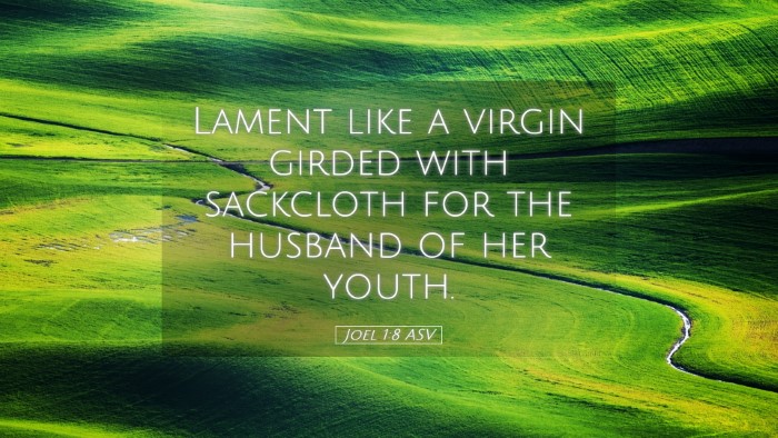 Picture 05 - Joel 1:8 ASV Desktop Wallpaper - Lament like a virgin girded with sackcloth for - Desktop Bible Verse Wallpaper