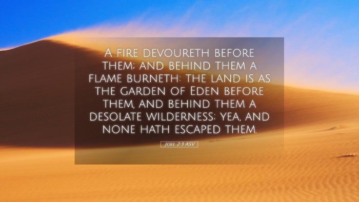 Picture 05 - Joel 2:3 ASV Desktop Wallpaper - A fire devoureth before them; and behind them a - Desktop Bible Verse Wallpaper