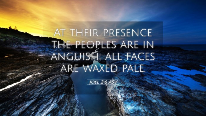 Picture 05 - Joel 2:6 ASV Desktop Wallpaper - At their presence the peoples are in anguish; all - Desktop Bible Verse Wallpaper