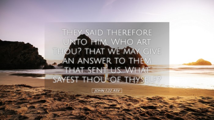 Picture 05 - John 1:22 ASV Desktop Wallpaper - They said therefore unto him, Who art thou? that - Desktop Bible Verse Wallpaper