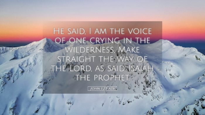 Picture 05 - John 1:23 ASV Desktop Wallpaper - He said, I am the voice of one crying in the - Desktop Bible Verse Wallpaper