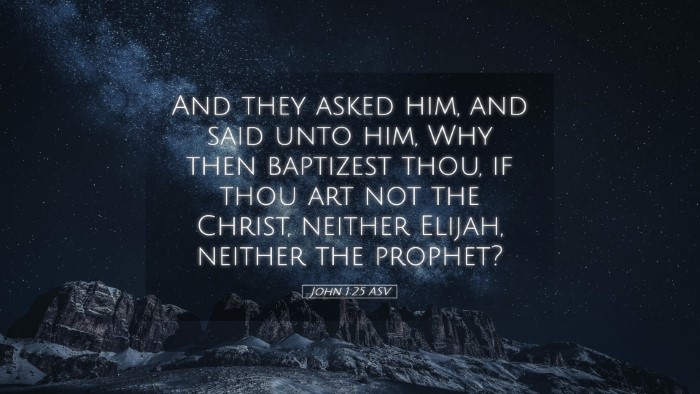 Picture 05 - John 1:25 ASV Desktop Wallpaper - And they asked him, and said unto him, Why then - Desktop Bible Verse Wallpaper