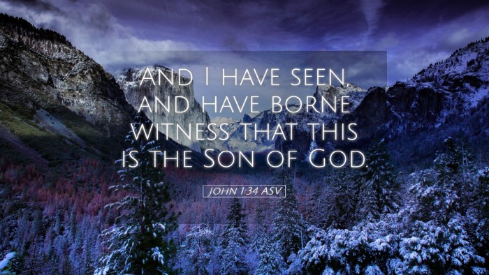 Picture 05 - John 1:34 ASV Desktop Wallpaper - And I have seen, and have borne witness that this - Desktop Bible Verse Wallpaper