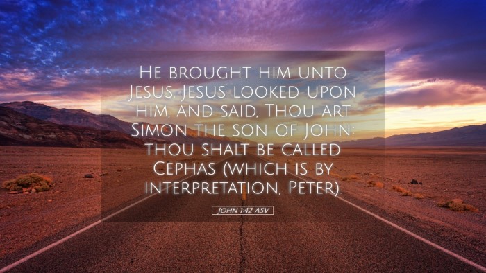 Picture 05 - John 1:42 ASV Desktop Wallpaper - He brought him unto Jesus. Jesus looked upon him, - Desktop Bible Verse Wallpaper