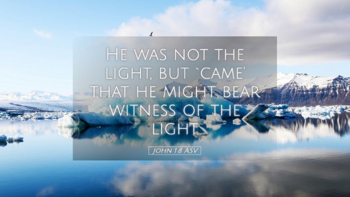 Picture 05 - John 1:8 ASV Desktop Wallpaper - He was not the light, but `came' that he might - Desktop Bible Verse Wallpaper