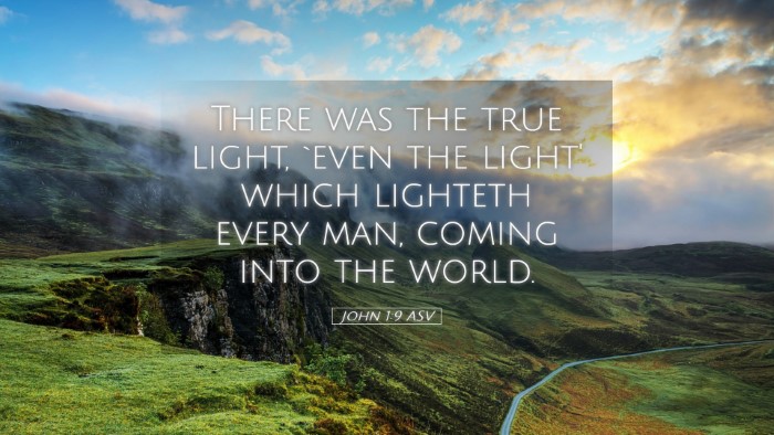 Picture 05 - John 1:9 ASV Desktop Wallpaper - There was the true light, `even the light' which - Desktop Bible Verse Wallpaper
