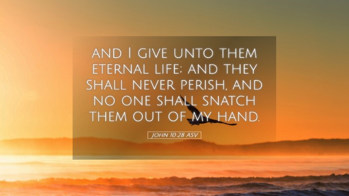 Picture 05 - John 10:28 ASV Desktop Wallpaper - and I give unto them eternal life; and they shall - Desktop Bible Verse Wallpaper