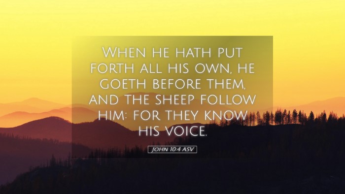 Picture 05 - John 10:4 ASV Desktop Wallpaper - When he hath put forth all his own, he goeth - Desktop Bible Verse Wallpaper
