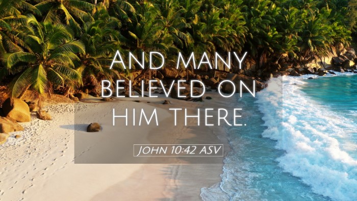 Picture 05 - John 10:42 ASV Desktop Wallpaper - And many believed on him - Desktop Bible Verse Wallpaper