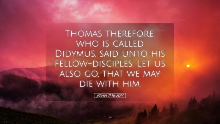 Picture 05 - John 11:16 ASV Desktop Wallpaper - Thomas therefore, who is called Didymus, said - Desktop Bible Verse Wallpaper