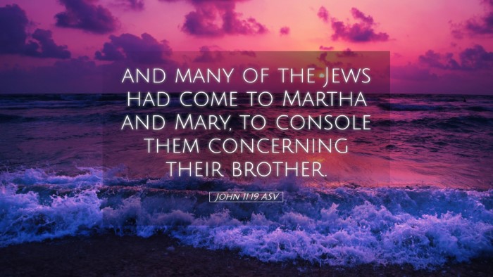 Picture 05 - John 11:19 ASV Desktop Wallpaper - and many of the Jews had come to Martha and Mary, - Desktop Bible Verse Wallpaper