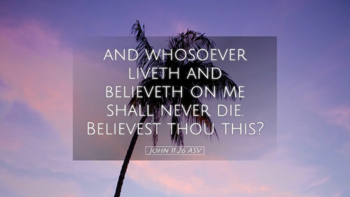 Picture 05 - John 11:26 ASV Desktop Wallpaper - and whosoever liveth and believeth on me shall - Desktop Bible Verse Wallpaper