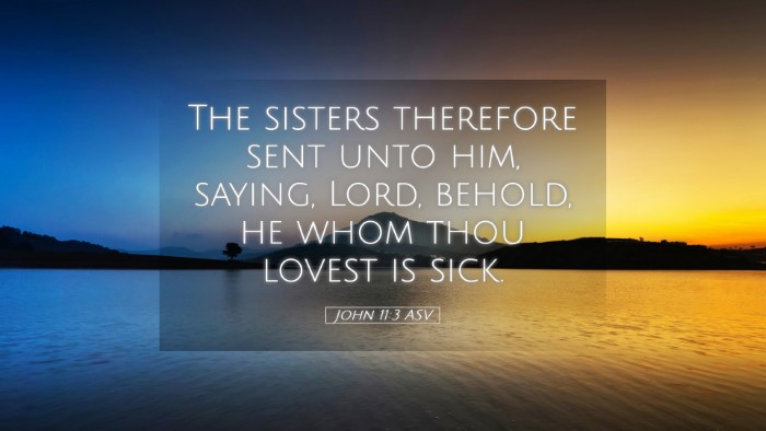 Picture 05 - John 11:3 ASV Desktop Wallpaper - The sisters therefore sent unto him, saying, - Desktop Bible Verse Wallpaper