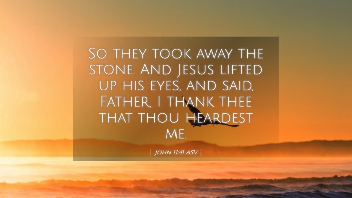Picture 05 - John 11:41 ASV Desktop Wallpaper - So they took away the stone. And Jesus lifted up - Desktop Bible Verse Wallpaper
