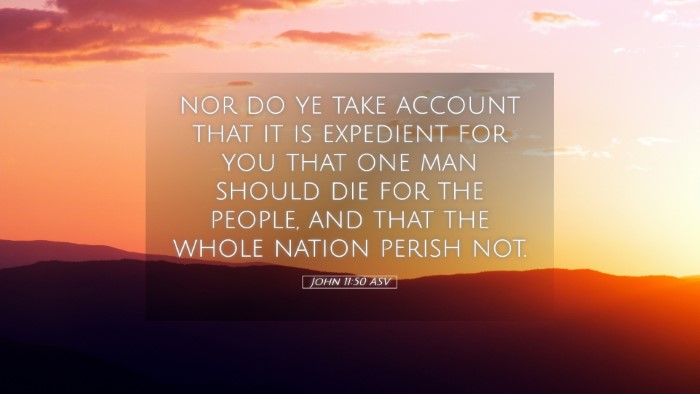 Picture 05 - John 11:50 ASV Desktop Wallpaper - nor do ye take account that it is expedient for - Desktop Bible Verse Wallpaper