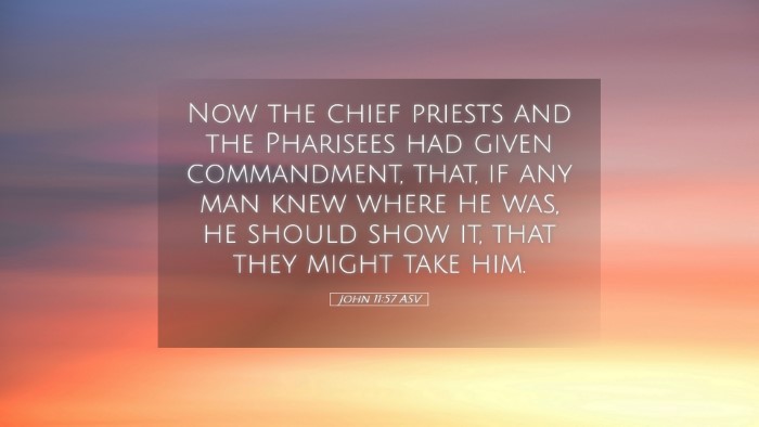 Picture 05 - John 11:57 ASV Desktop Wallpaper - Now the chief priests and the Pharisees had given - Desktop Bible Verse Wallpaper
