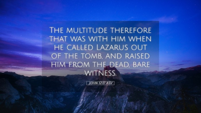 Picture 05 - John 12:17 ASV Desktop Wallpaper - The multitude therefore that was with him when he - Desktop Bible Verse Wallpaper