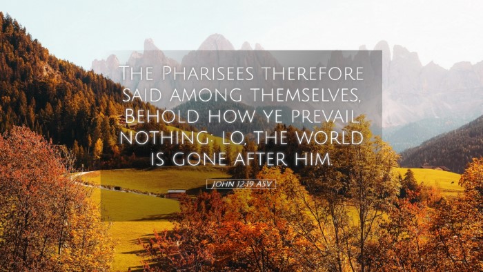 Picture 05 - John 12:19 ASV Desktop Wallpaper - The Pharisees therefore said among themselves, - Desktop Bible Verse Wallpaper
