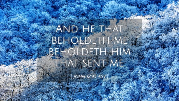 Picture 05 - John 12:45 ASV Desktop Wallpaper - And he that beholdeth me beholdeth him that sent - Desktop Bible Verse Wallpaper
