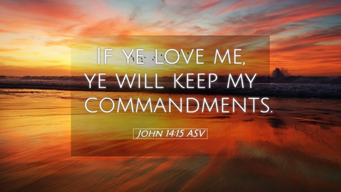 Picture 05 - John 14:15 ASV Desktop Wallpaper - If ye love me, ye will keep my - Desktop Bible Verse Wallpaper