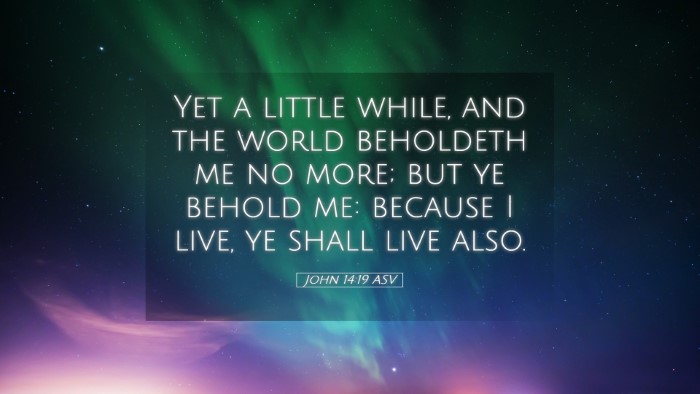 Picture 05 - John 14:19 ASV Desktop Wallpaper - Yet a little while, and the world beholdeth me no - Desktop Bible Verse Wallpaper