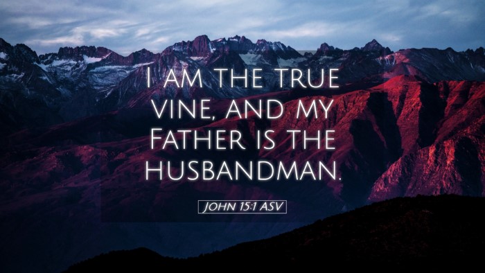 Picture 05 - John 15:1 ASV Desktop Wallpaper - I am the true vine, and my Father is the - Desktop Bible Verse Wallpaper