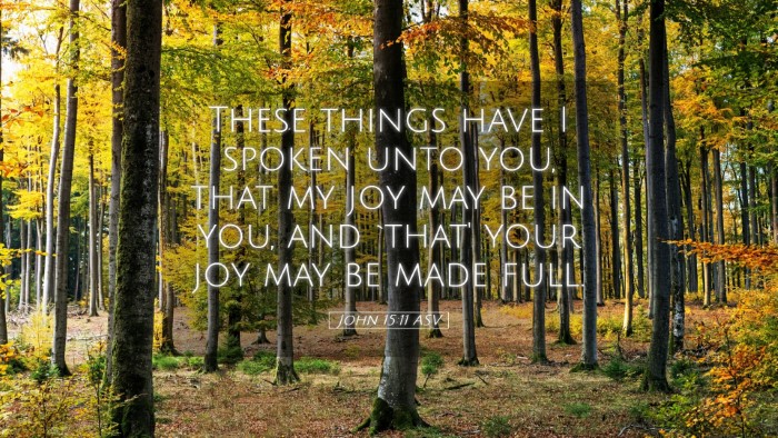 Picture 05 - John 15:11 ASV Desktop Wallpaper - These things have I spoken unto you, that my joy - Desktop Bible Verse Wallpaper
