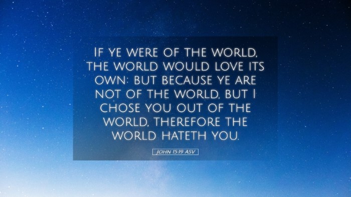 Picture 05 - John 15:19 ASV Desktop Wallpaper - If ye were of the world, the world would love its - Desktop Bible Verse Wallpaper
