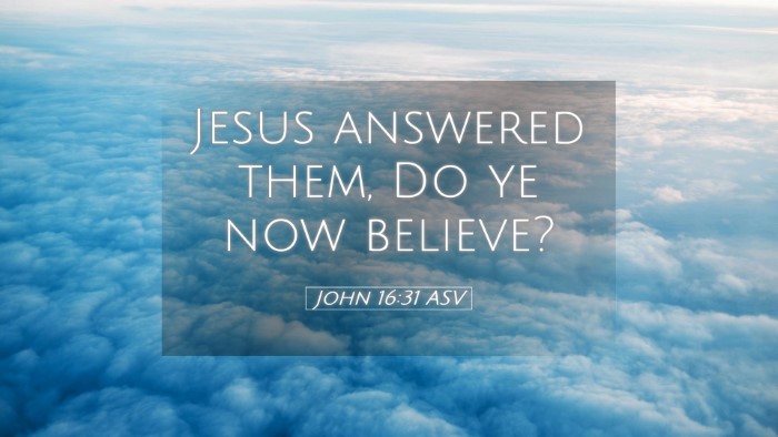 Picture 05 - John 16:31 ASV Desktop Wallpaper - Jesus answered them, Do ye now - Desktop Bible Verse Wallpaper